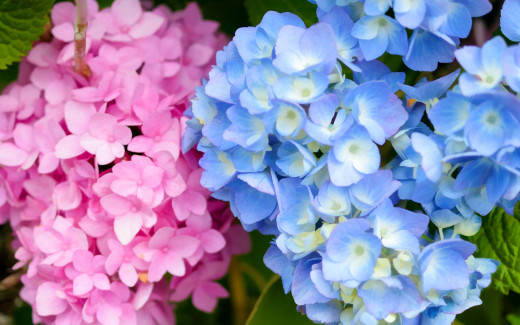 1042378 (a): :2880x1800